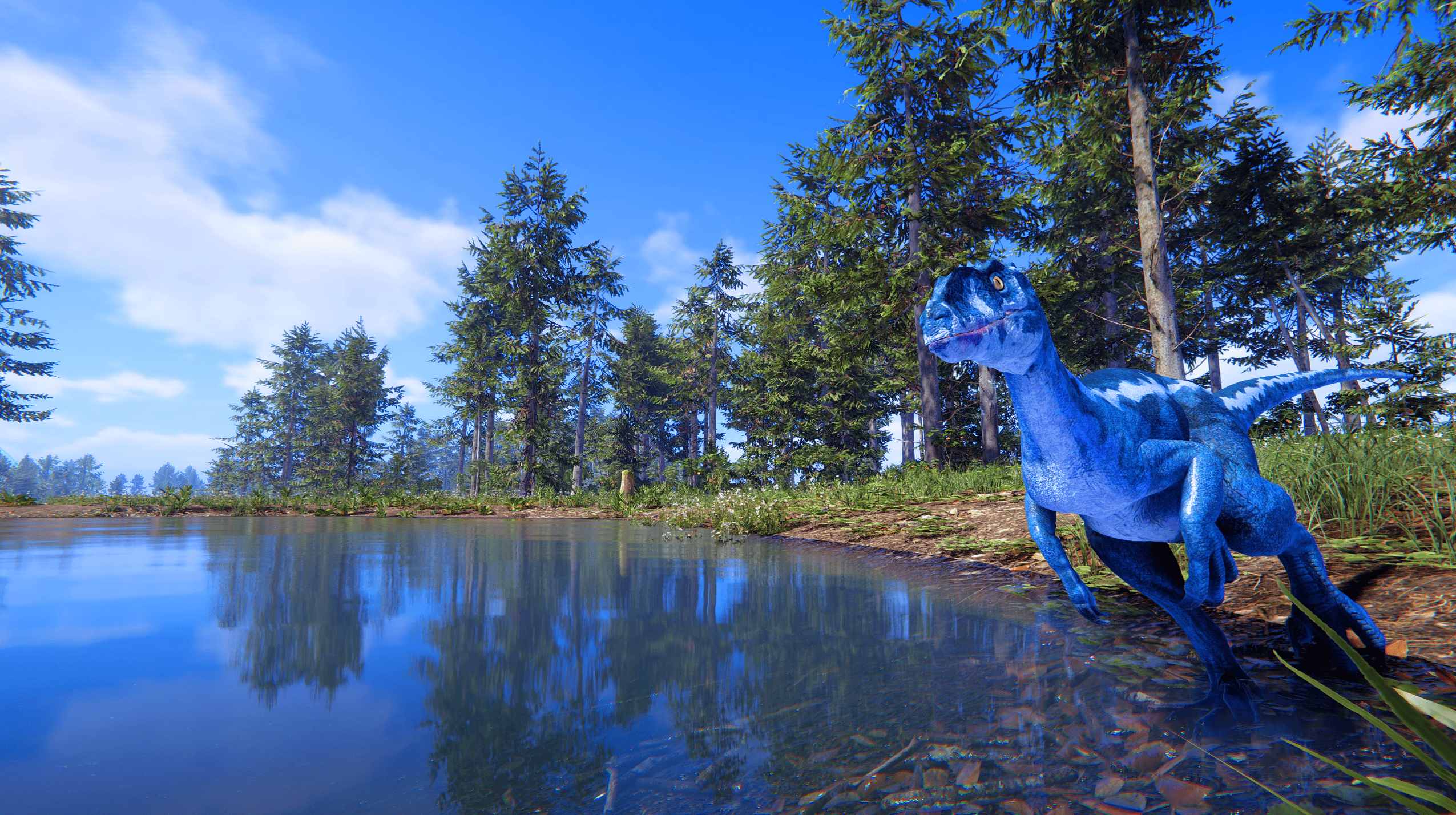 2026最新恐龙岛官网下载官网入口在哪？附安装失败解决办法